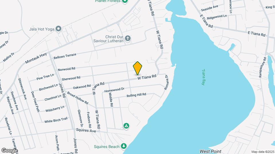 104 W Tiana Rd Mapa y Detalles de la Ubicación