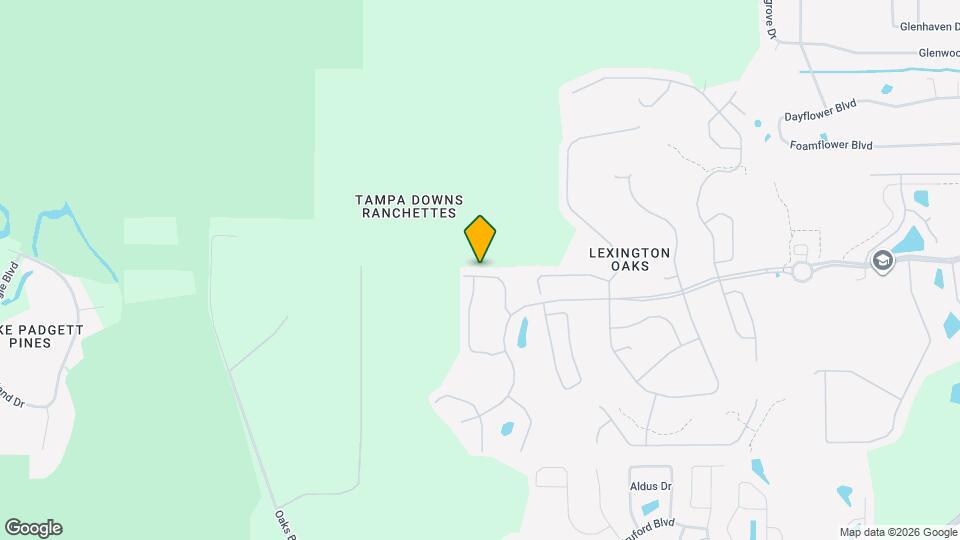 25303 Flying Ebony Ln Mapa y Detalles de la Ubicación