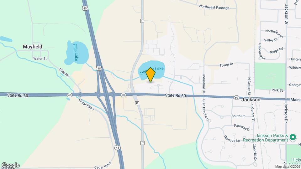 Jackson Bay Mapa y Detalles de la Ubicación