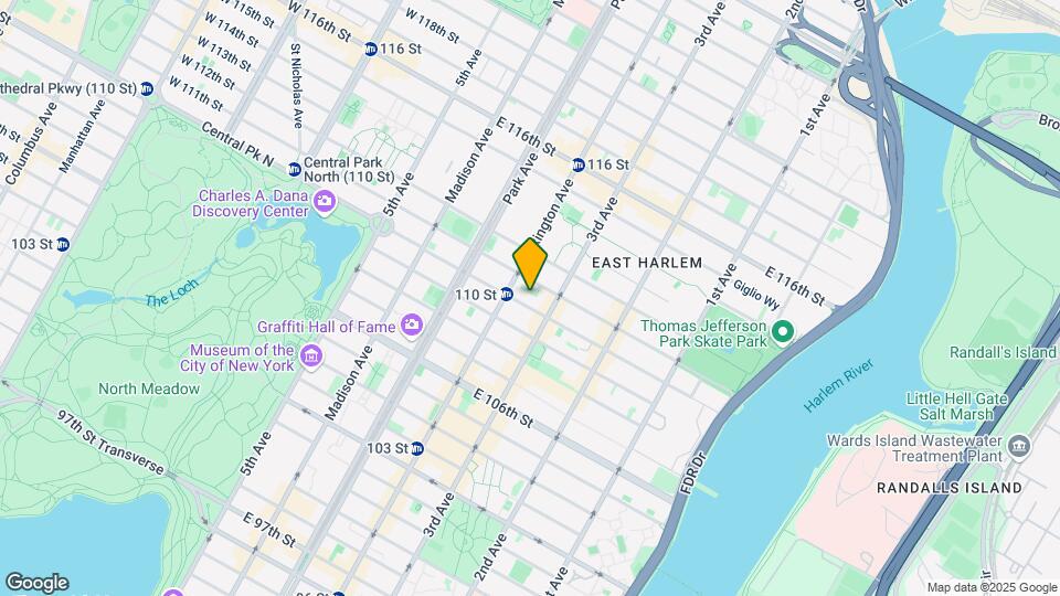 161 E 110th St Map and Location Details