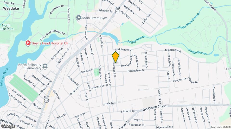609 Hammond St Mapa y Detalles de la Ubicación