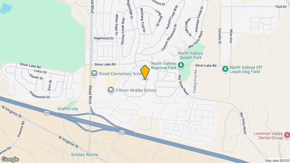 9900 Rising Sun Ct Map and Location Details