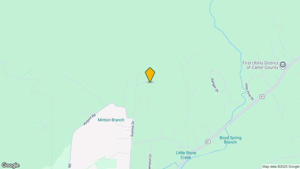 124 Zeb Grindstaff Rd Map and Location Details