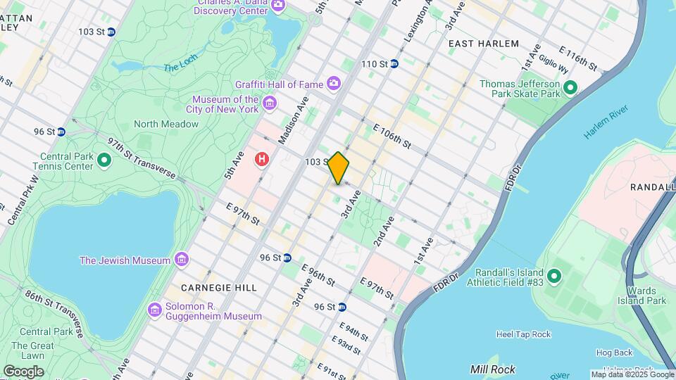 173 E 101st St Map and Location Details