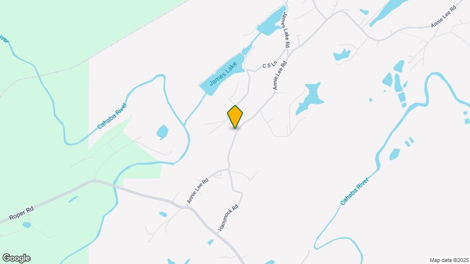 495 Annie Lee Rd Mapa y Detalles de la Ubicación