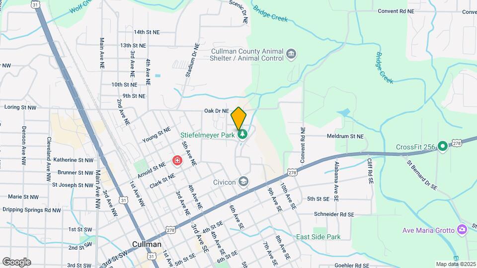 205 8th Ave NE Mapa y Detalles de la Ubicación