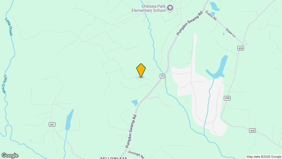 217 Chelsea Pk Cir Map and Location Details