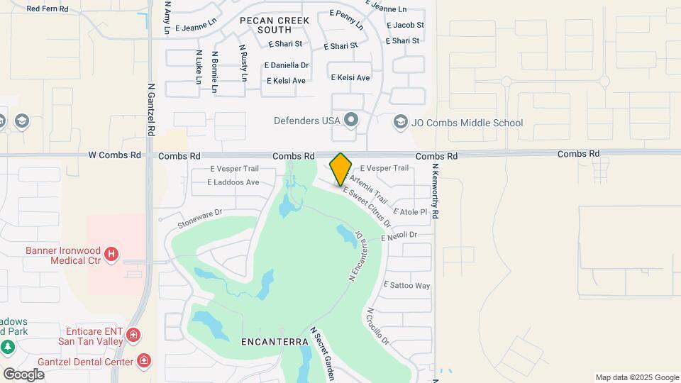 1317 E Sweet Citrus Dr Mapa y Detalles de la Ubicación