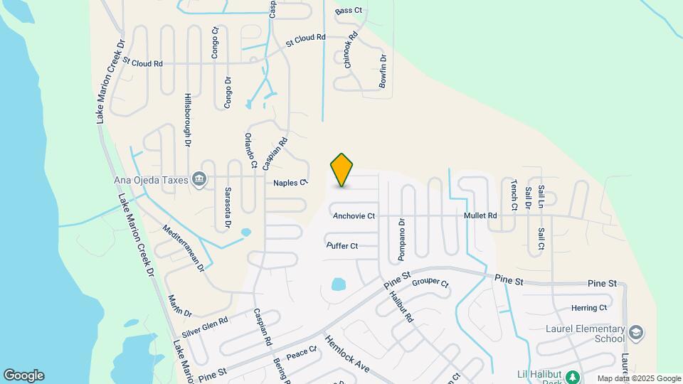 325 Salmon Ct Map and Location Details