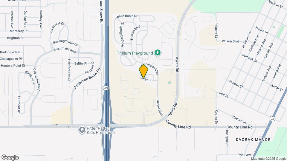 521 Painted Leaf Dr Map and Location Details