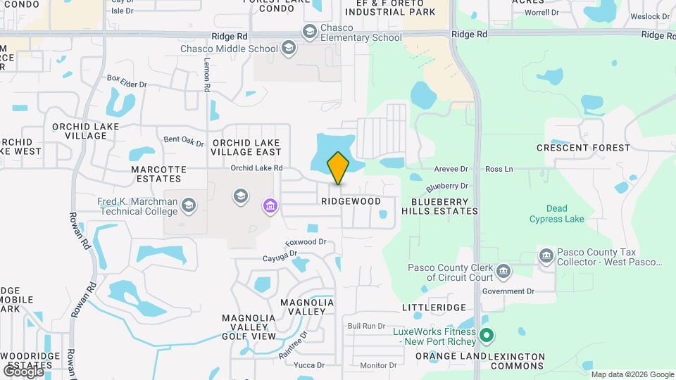 7907 Osteen Rd Map and Location Details
