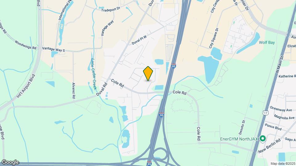 13234 Shore Grass Dr Mapa y Detalles de la Ubicación