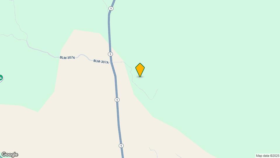 254 Gribble Dr Map and Location Details