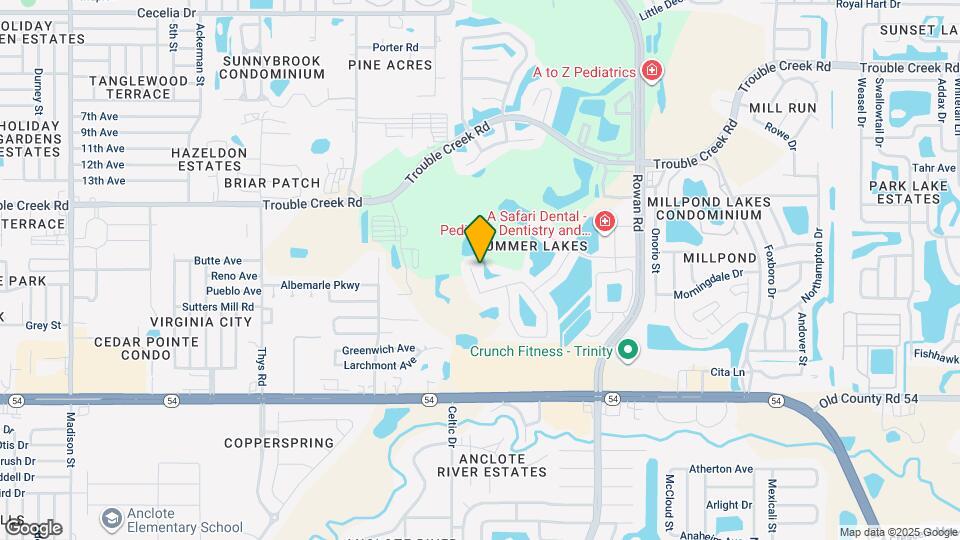4420 Stones River Ct Map and Location Details