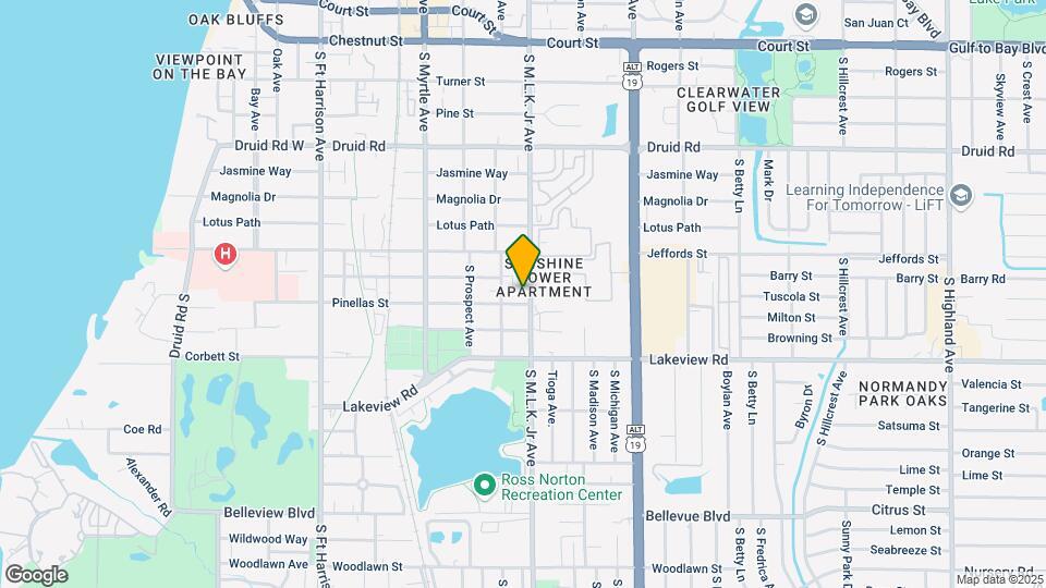 1008 Pinellas St Map and Location Details