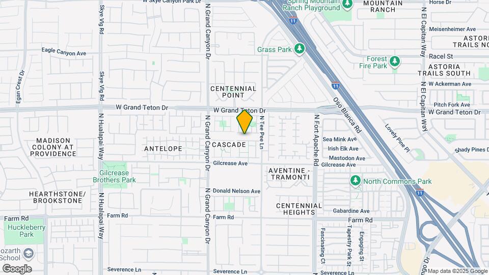 9452 Plover Falls Ave Map and Location Details