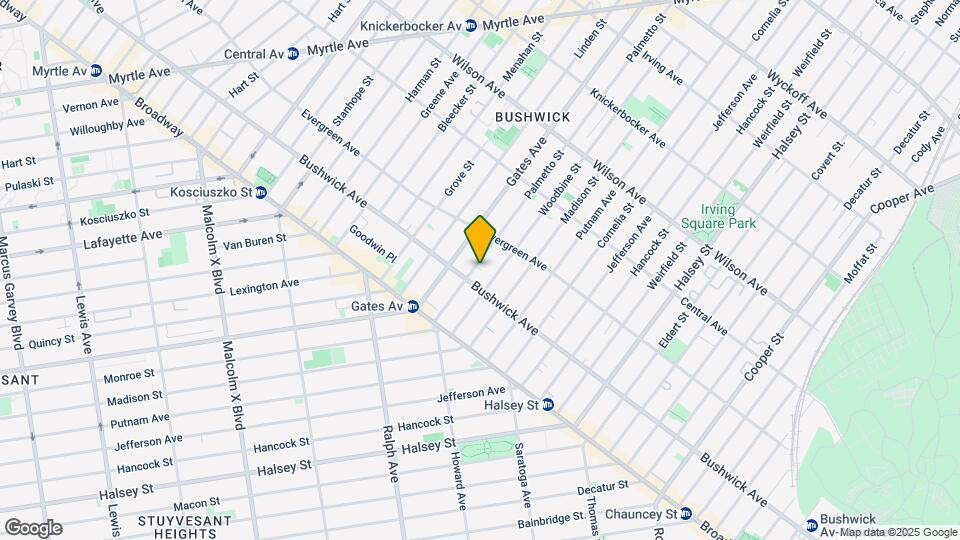 58 Palmetto St Map and Location Details