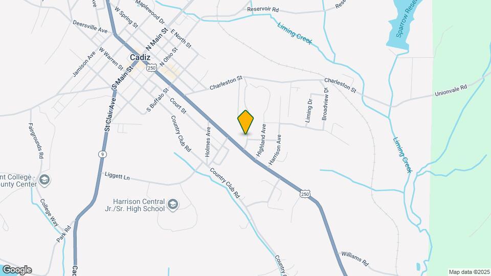 203 Roan Ave Mapa y Detalles de la Ubicación