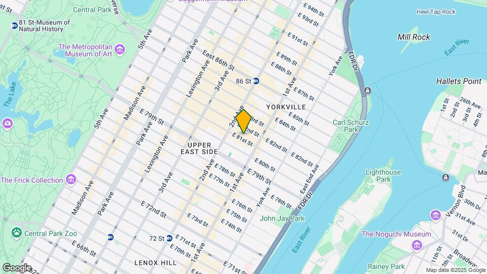 335 E 81ST St Mapa y Detalles de la Ubicación