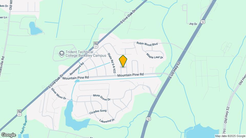 105 White Pine Ct Map and Location Details