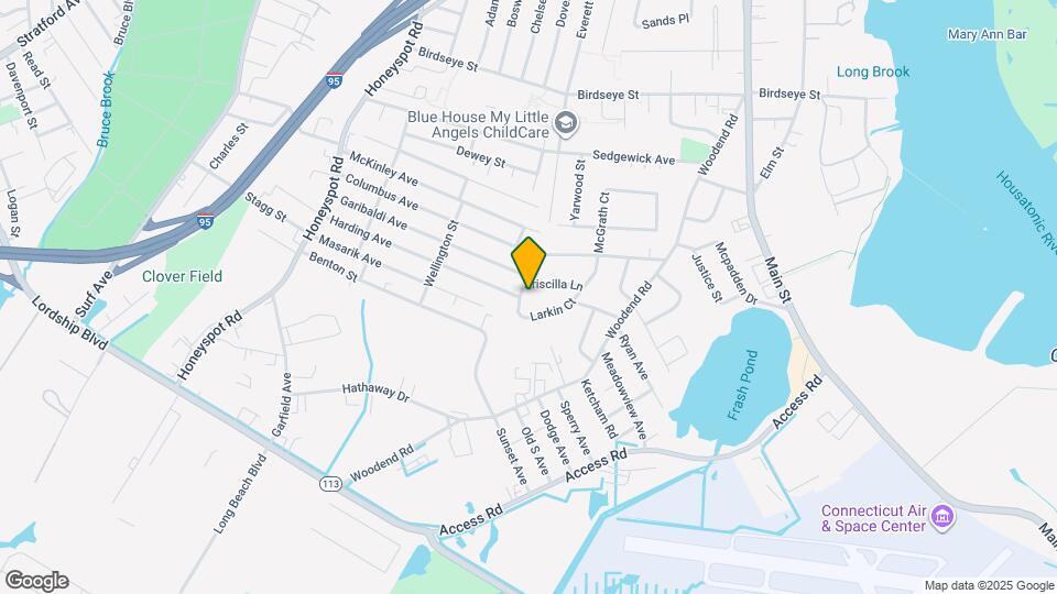 213 Larkin Ct Map and Location Details