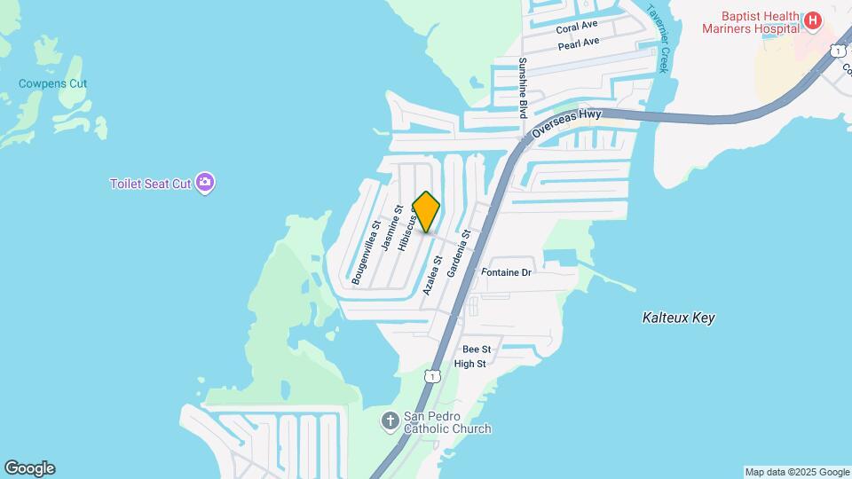 208 S Coconut Palm Blvd Map and Location Details