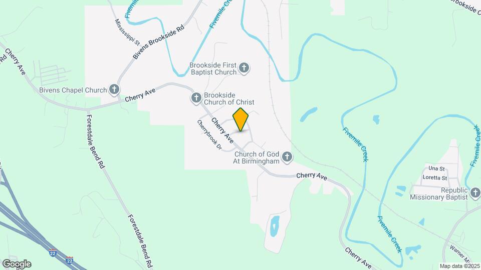 1009 Timber Brook Cir Map and Location Details