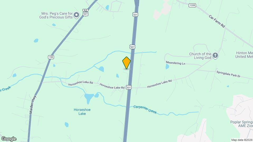 513 Horseshoe Lake Rd Mapa y Detalles de la Ubicación