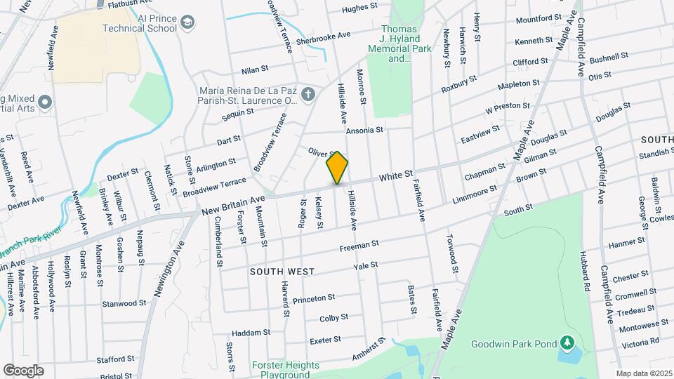 253 White St Mapa y Detalles de la Ubicación