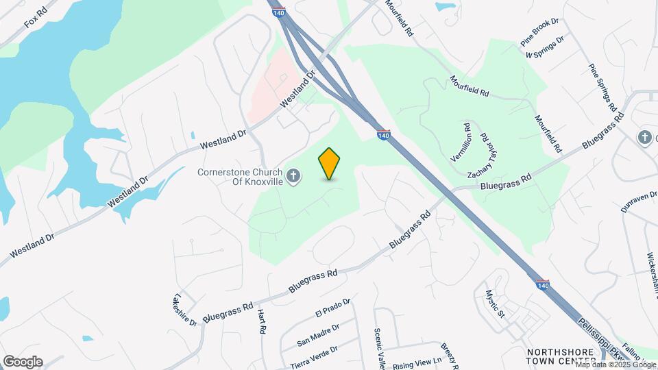 9533 Snowy Cliff Ln Mapa y Detalles de la Ubicación