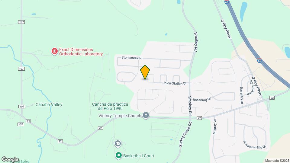 253 Union Station Dr Mapa y Detalles de la Ubicación