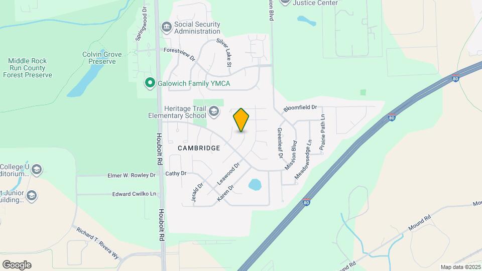 919 Surrey Ct Mapa y Detalles de la Ubicación