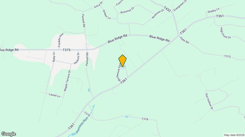 238 Birchwood Ln Mapa y Detalles de la Ubicación