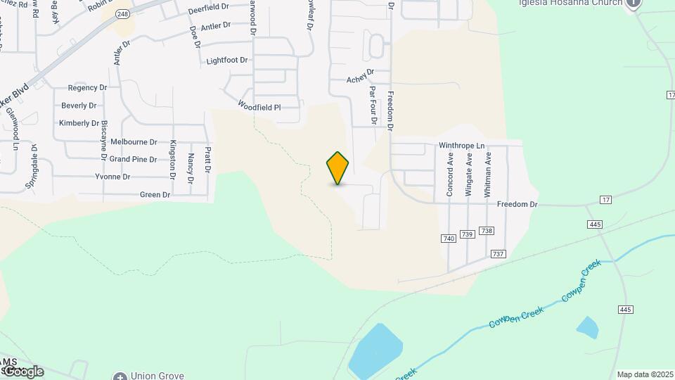 225 Charleston Dr Map and Location Details