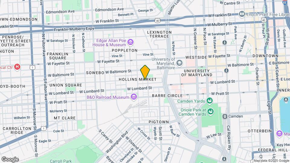 861 Hollins St Map and Location Details