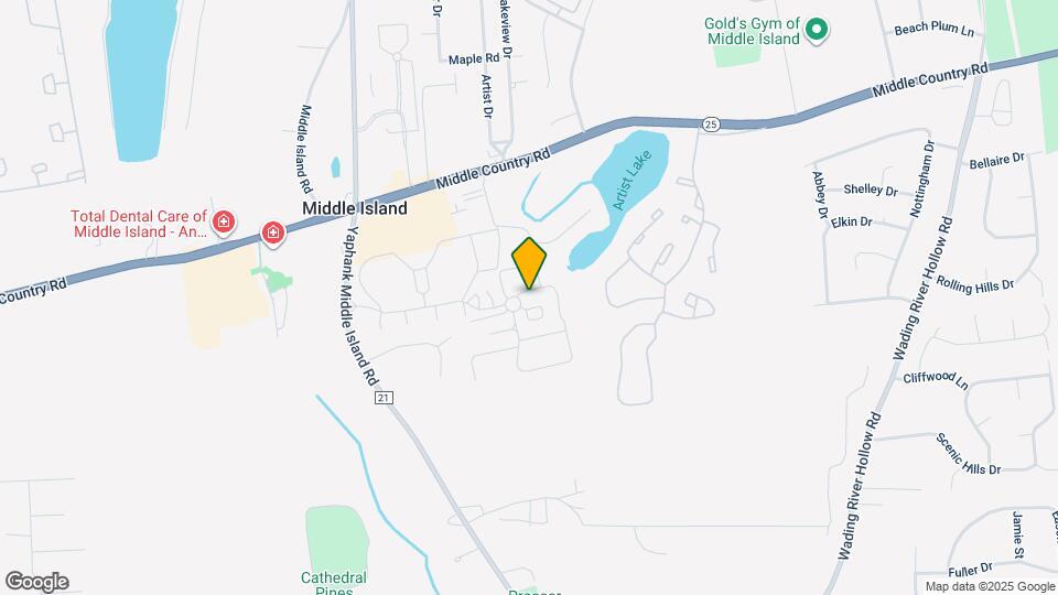 41 Artist Lake Dr Map and Location Details