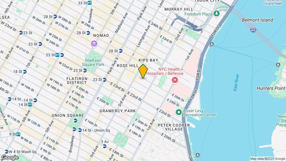220 E 26th St Mapa y Detalles de la Ubicación