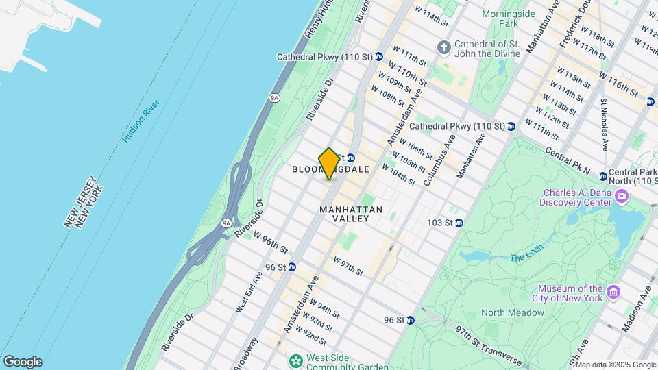 229-239 W 101st St Map and Location Details