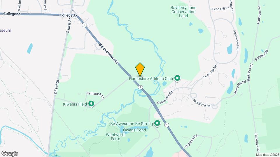 298 Belchertown Rd Map and Location Details