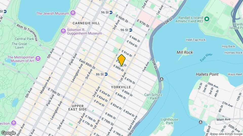 331 E 88th St Mapa y Detalles de la Ubicación