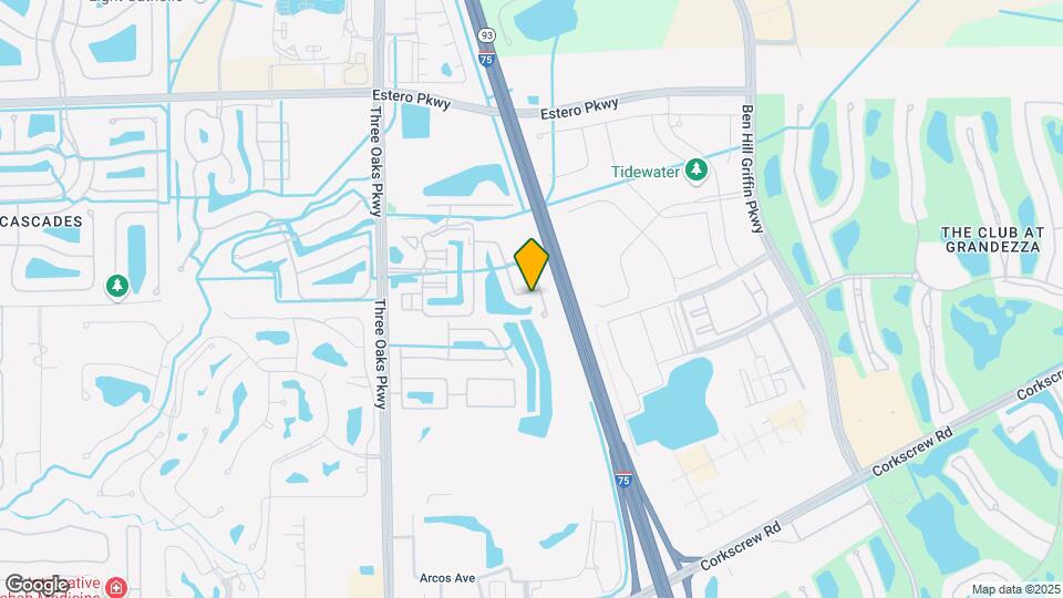 10127 Villagio Palms Way Map and Location Details