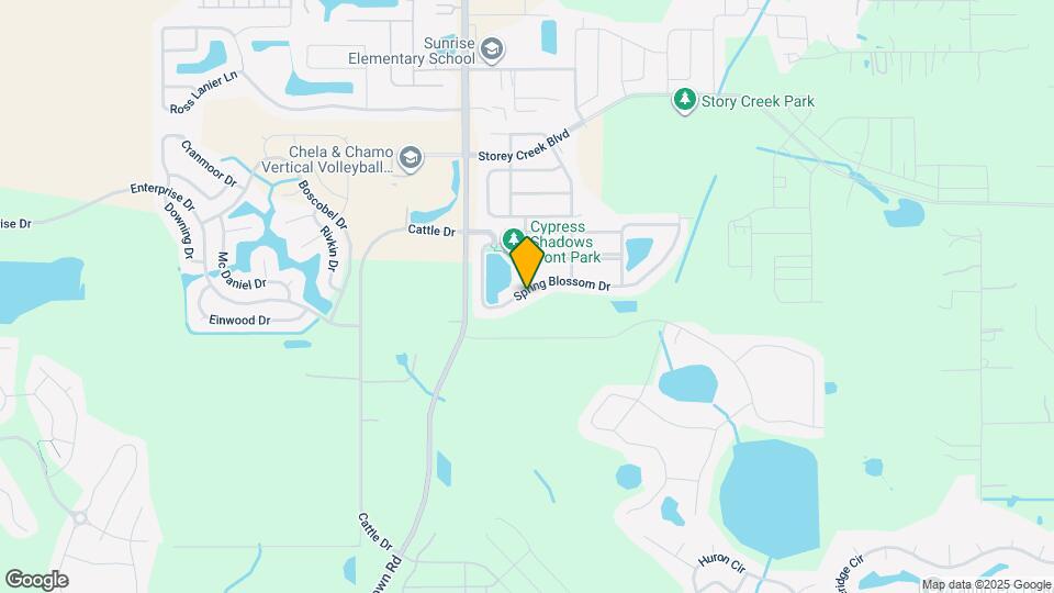 4430 Spring Blossom Dr Mapa y Detalles de la Ubicación