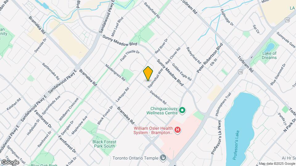 10 Squirreltail Way Map and Location Details