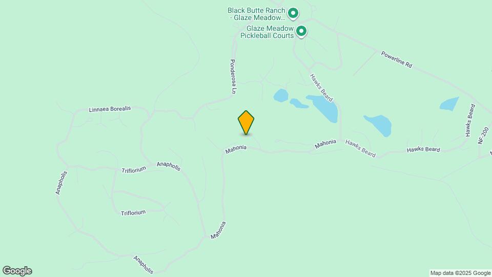 70335 Sword Fern Map and Location Details