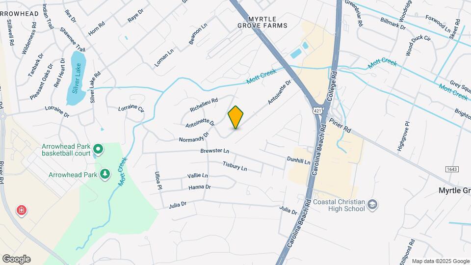 225 Antoinette Dr Map and Location Details