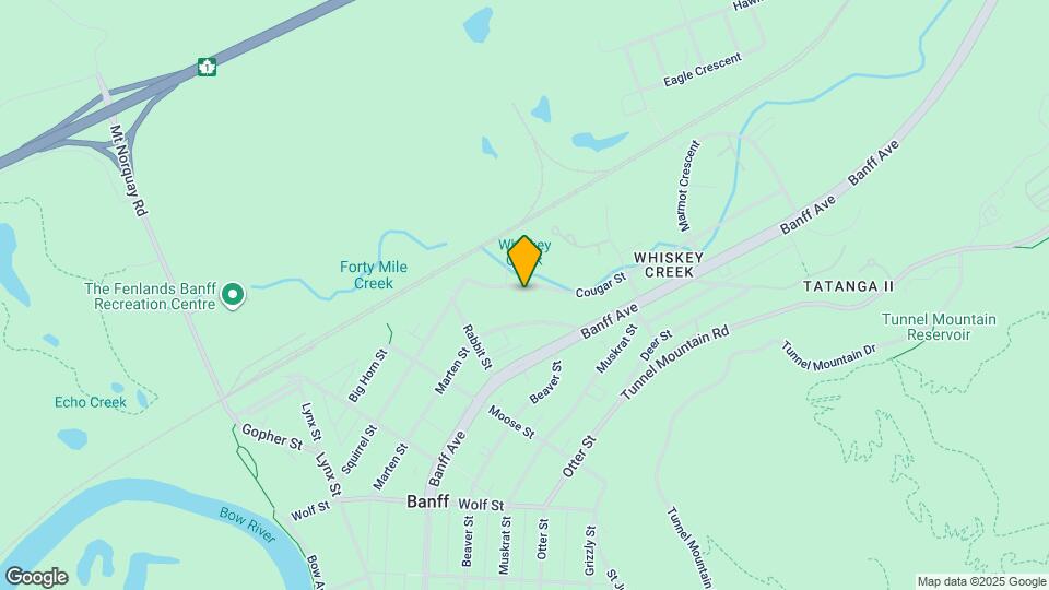 428 Cougar St Map and Location Details