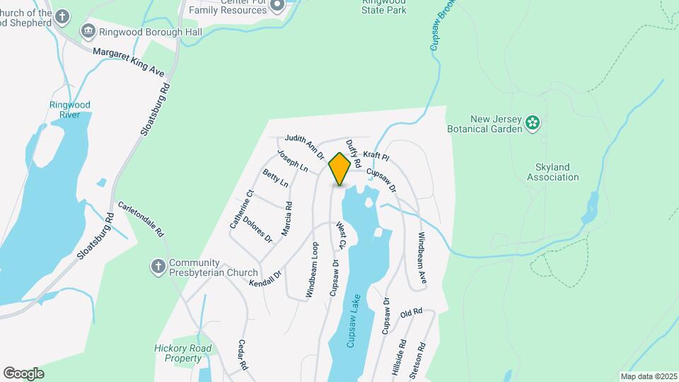 251 Cupsaw Dr Map and Location Details