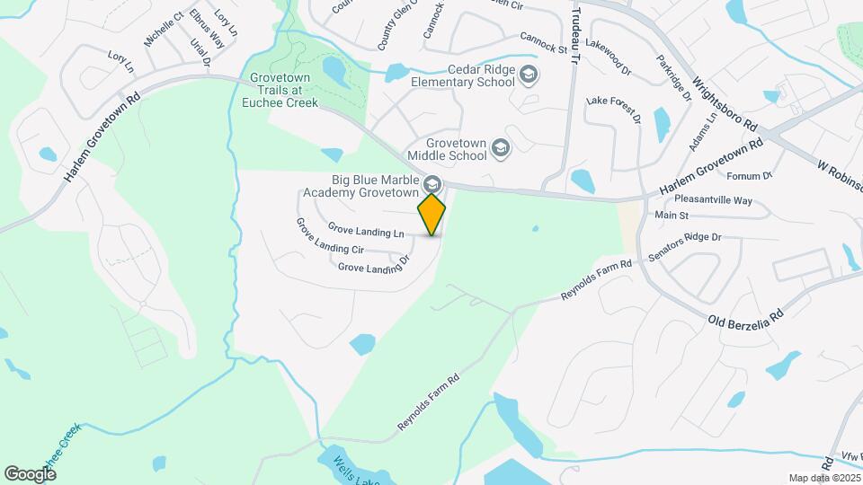 1056 Grove Landing Ln Map and Location Details