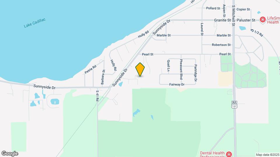Cadillac Shores Map and Location Details