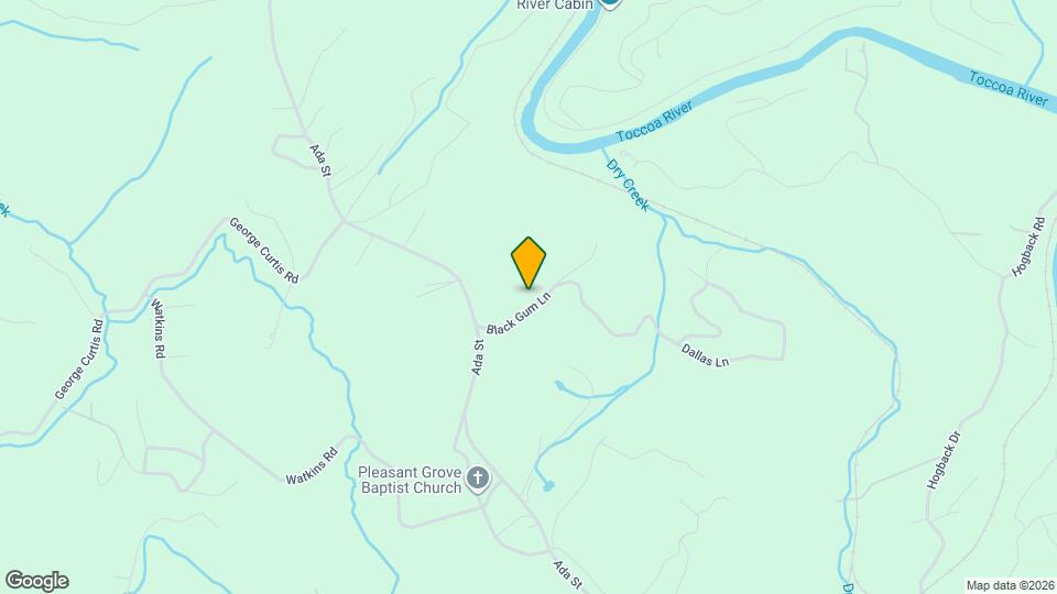 135 Black Gum Ln Map and Location Details